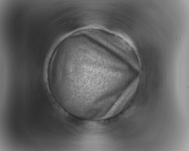 X0000089711104200707051657