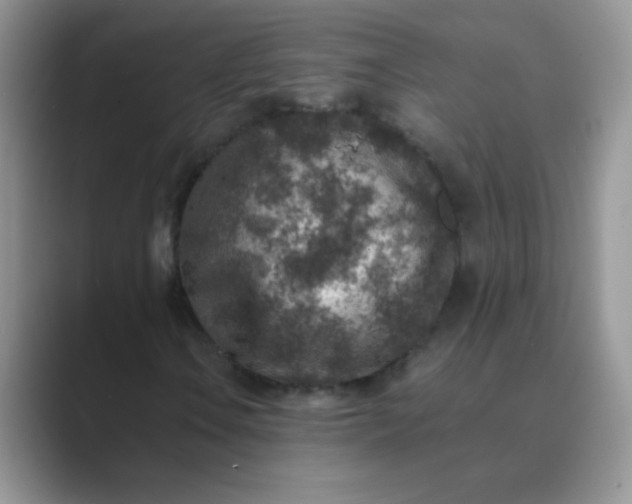 X0000089711106200707051656