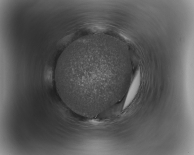 X0000089711108200707051656