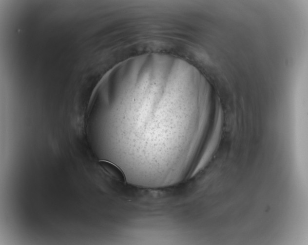 X0000089711109200707051656