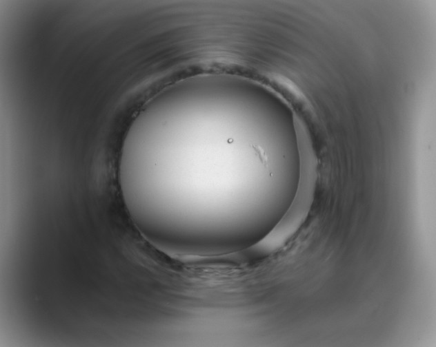 X0000089711112200707051656