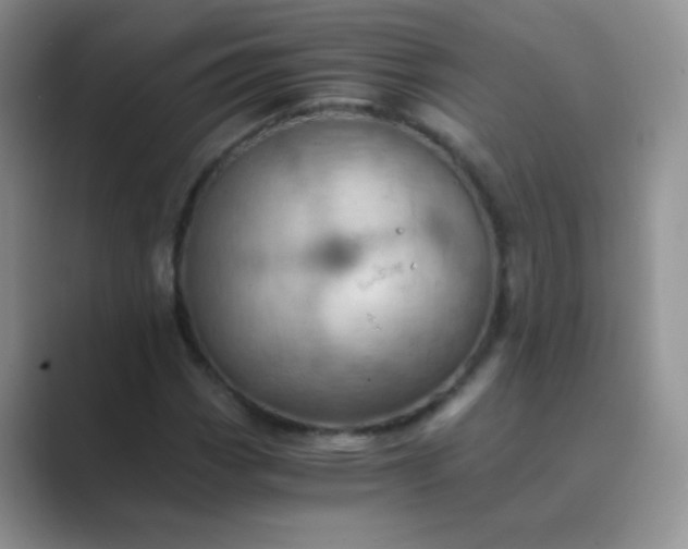 X0000089711113200707051656