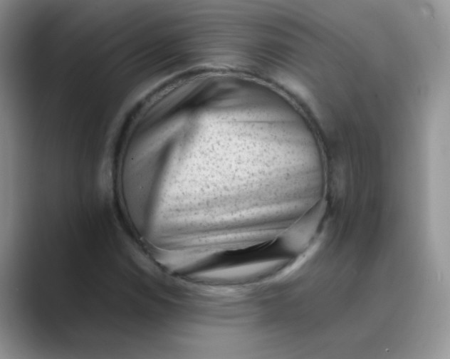 X0000089711114200707051656