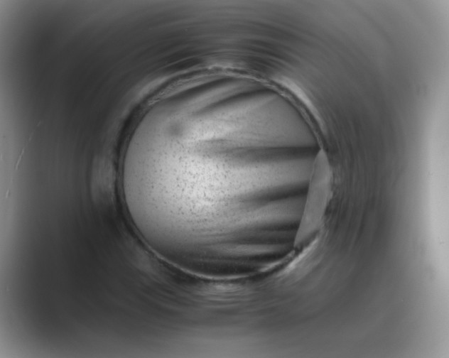 X0000089711115200707051656