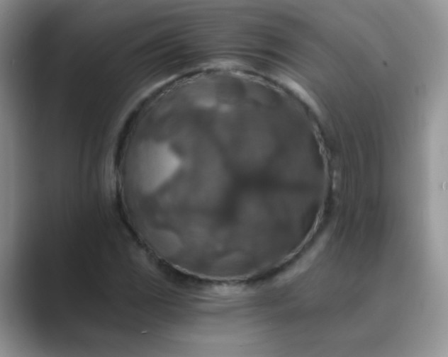 X0000089711117200707051656