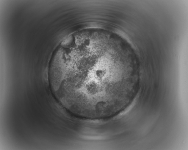 X0000089711121200707051657