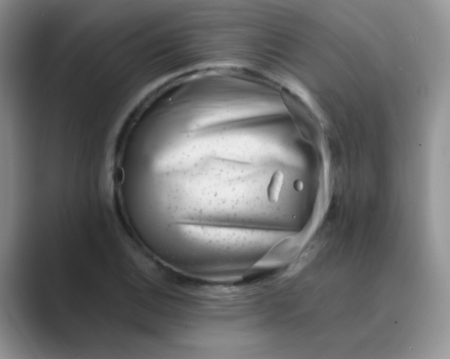 X0000089711124200707051657