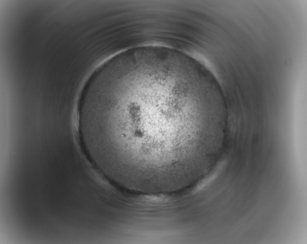 X0000089711125200707051657