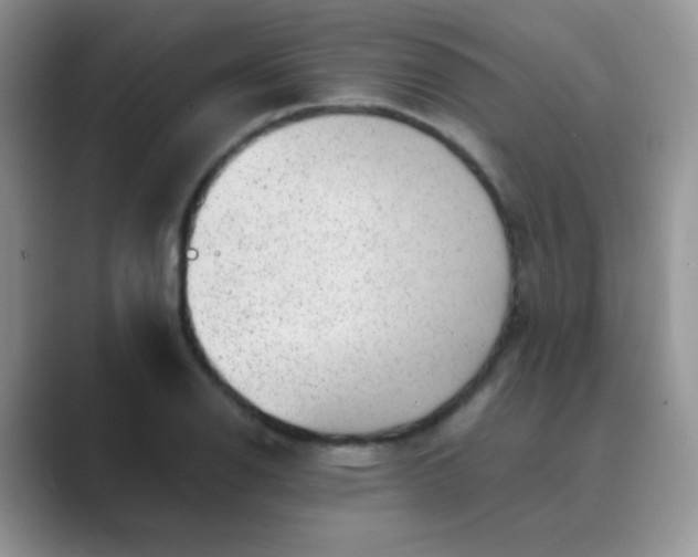 X0000089711126200707051657