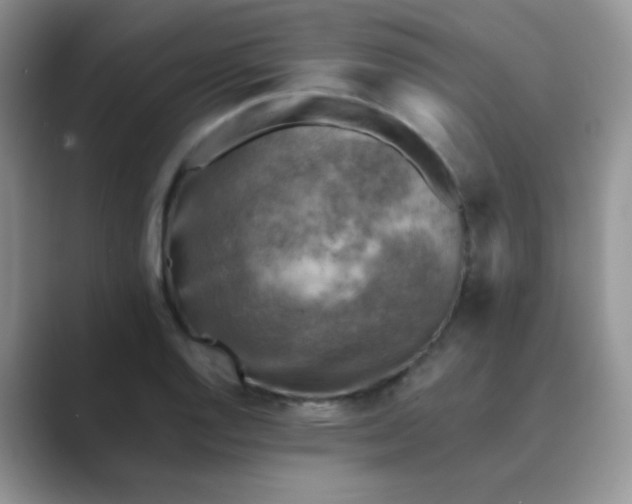 X0000089711128200707051657