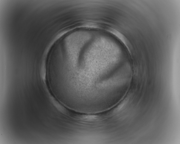 X0000089711131200707051657