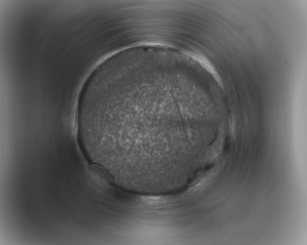 X0000089711132200707051657