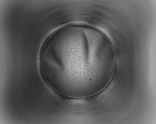 X0000089711133200707051657