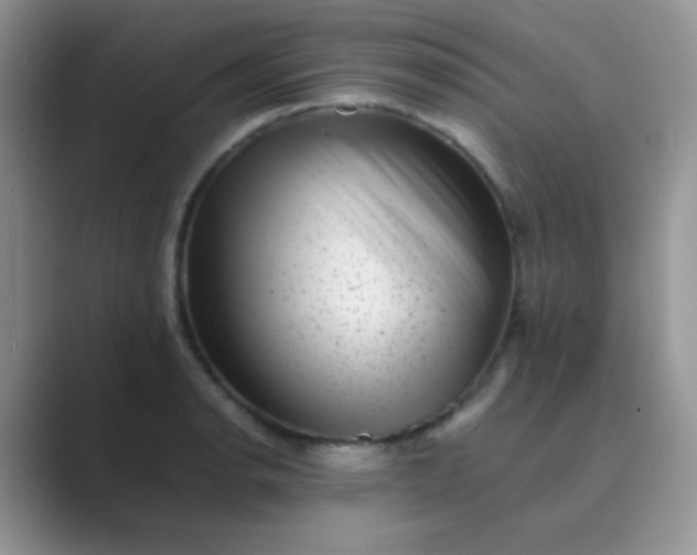 X0000089711134200707051657