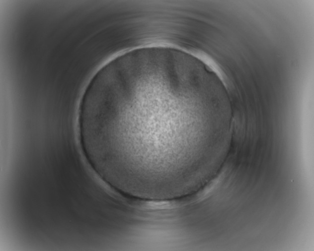 X0000089711142200707051657