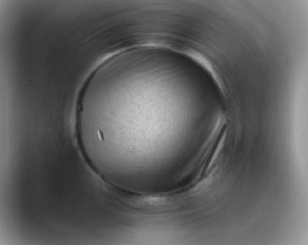 X0000089711147200707051657