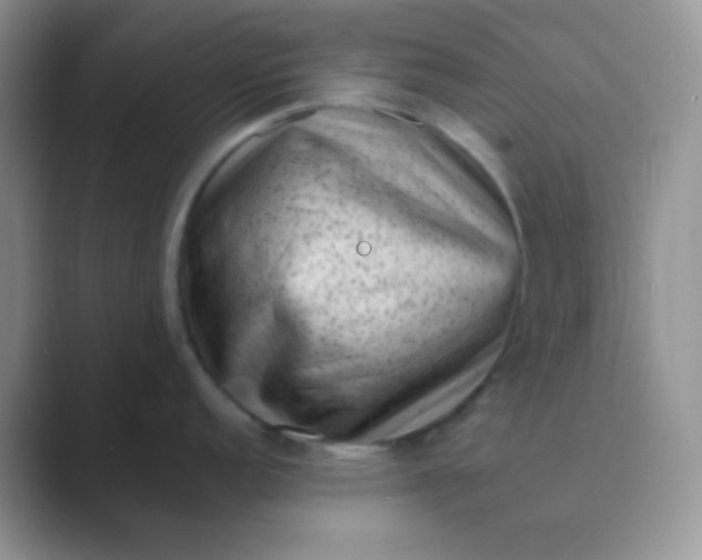 X0000089711152200707051657