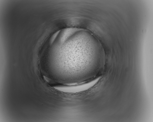 X0000089711153200707051656