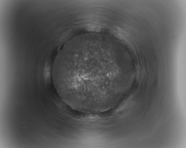 X0000089711154200707051656