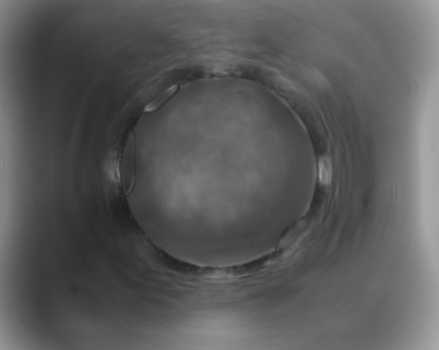 X0000089711155200707051656