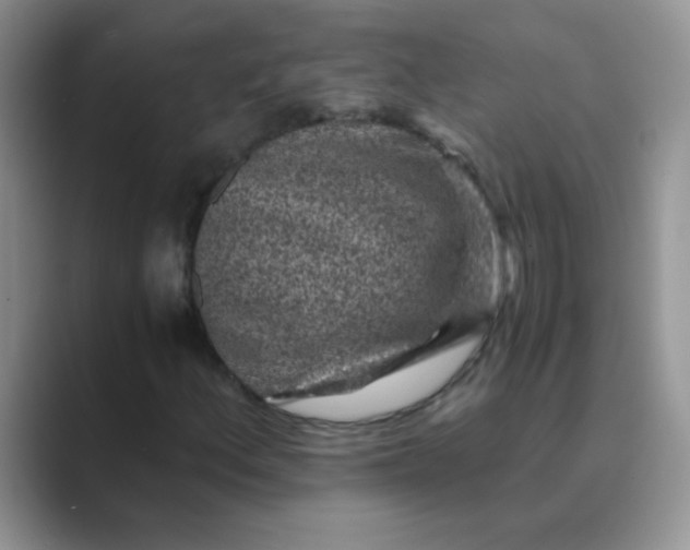 X0000089711156200707051656