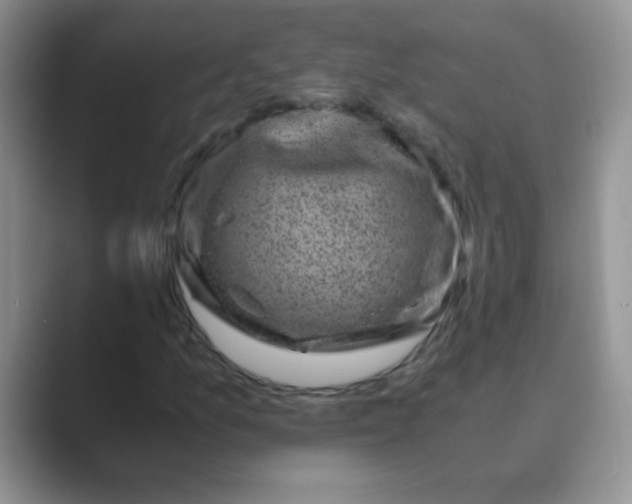 X0000089711157200707051656