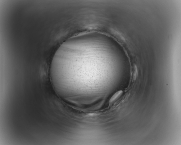 X0000089711158200707051656