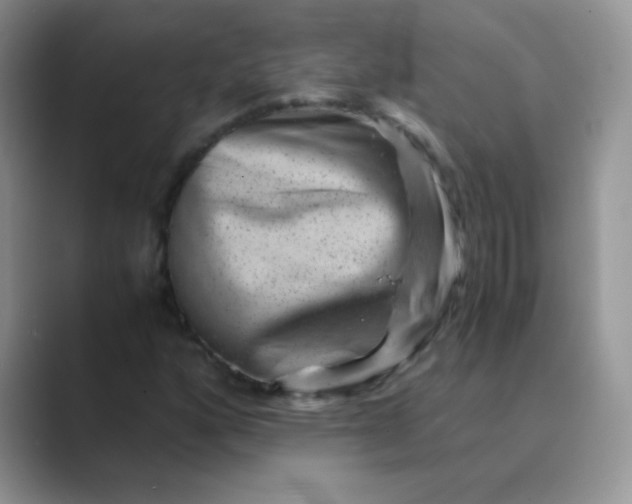 X0000089711160200707051656