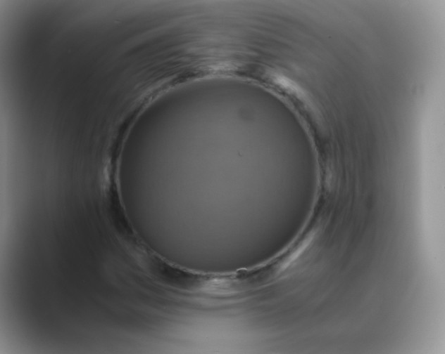 X0000089711161200707051656