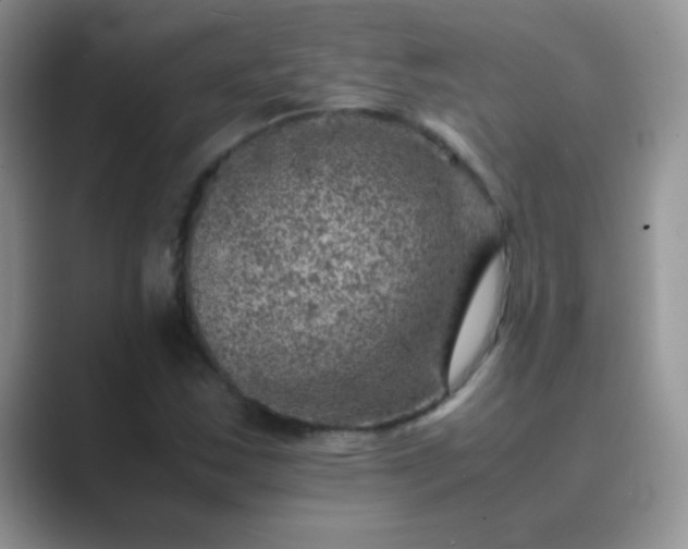 X0000089711163200707051656