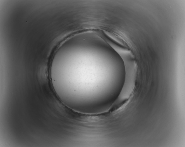 X0000089711164200707051656