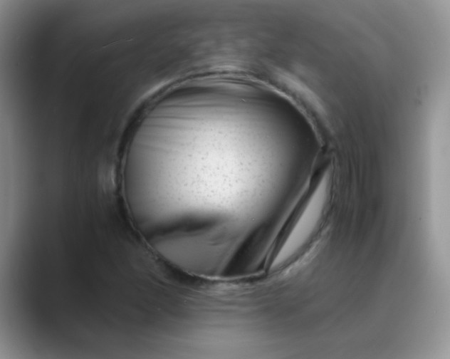 X0000089711166200707051656