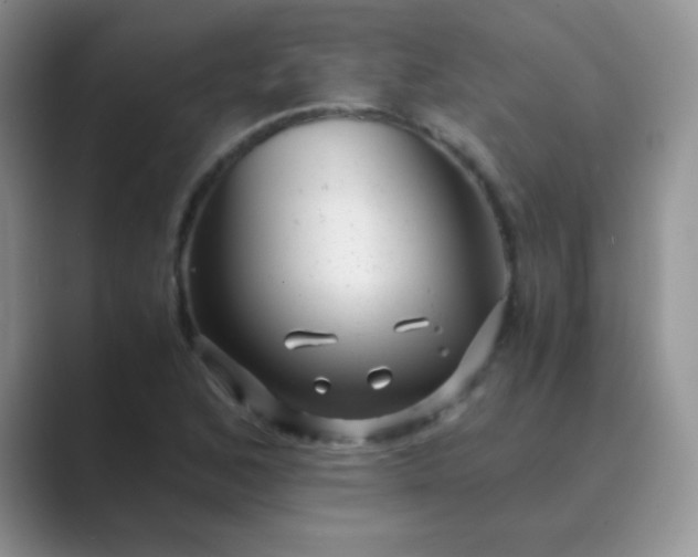 X0000089711168200707051656