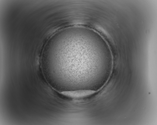 X0000089711169200707051656