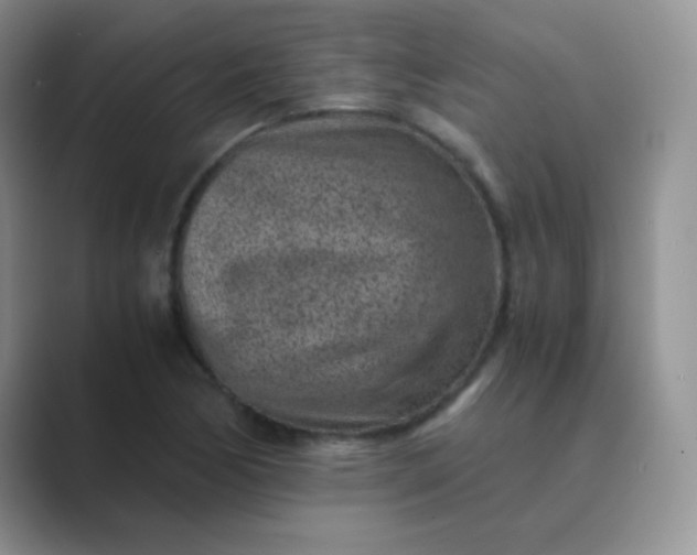 X0000089711170200707051656