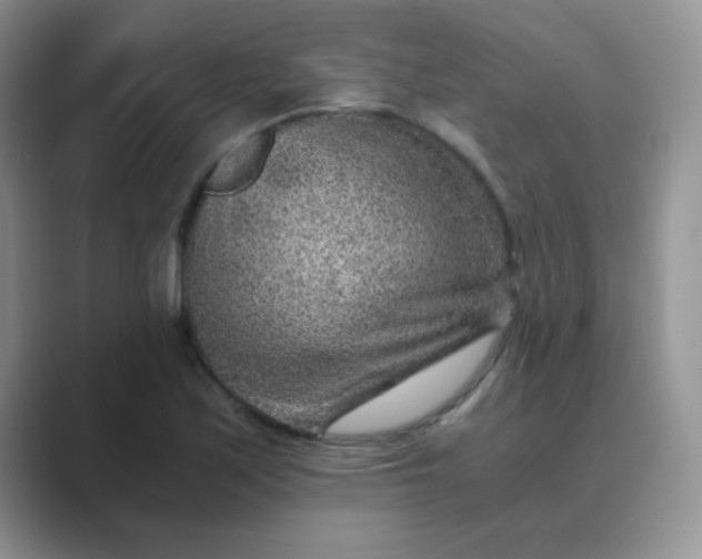 X0000089711171200707051656