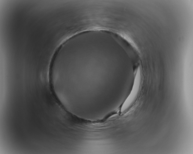 X0000089711173200707051656