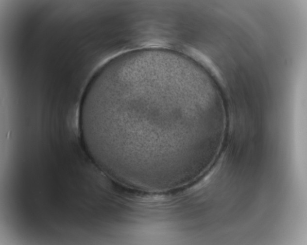 X0000089711174200707051656