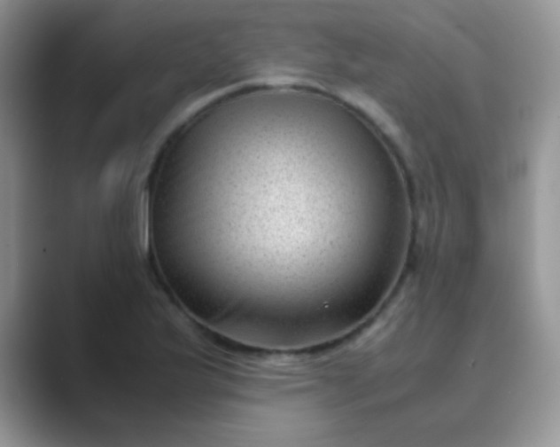 X0000089711175200707051656