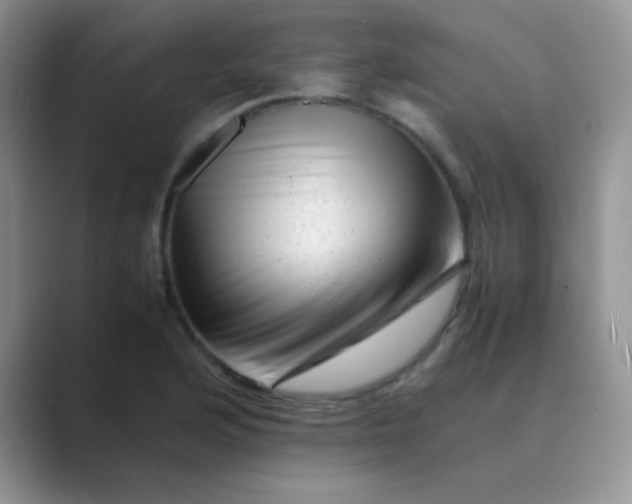 X0000089711176200707051656