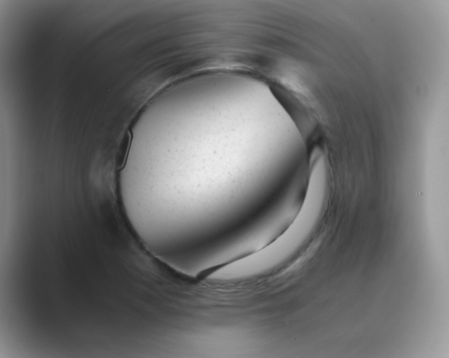 X0000089711177200707051656