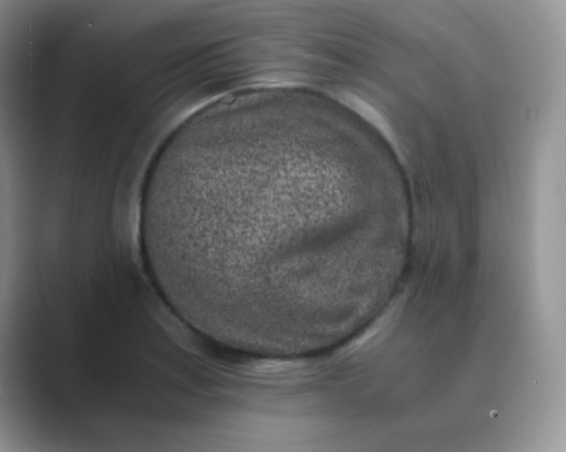 X0000089711179200707051656