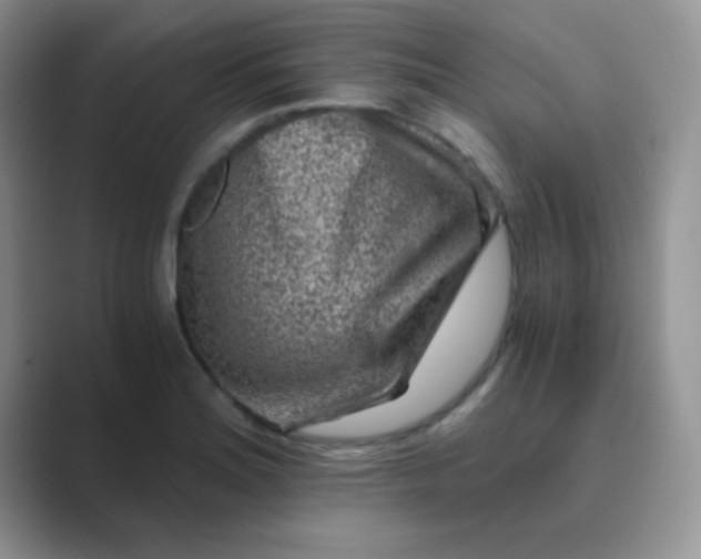 X0000089711180200707051656