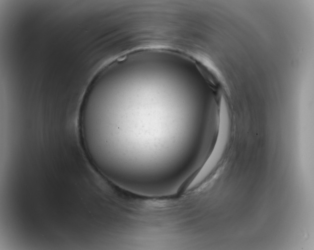 X0000089711181200707051656