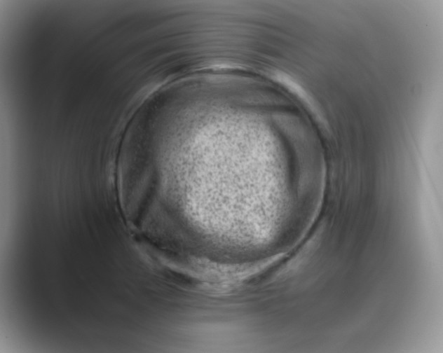 X0000089711185200707051656