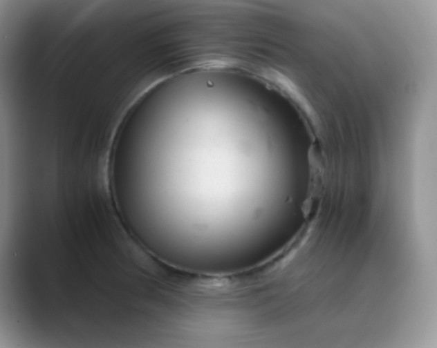 X0000089711186200707051656