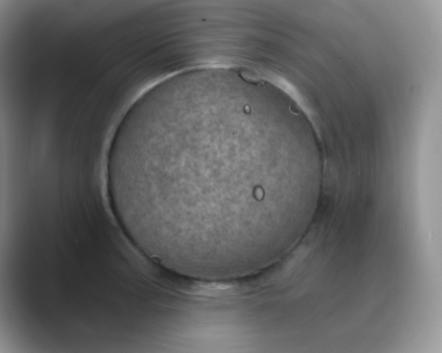 X0000089711187200707051656