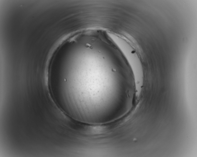 X0000089711188200707051656