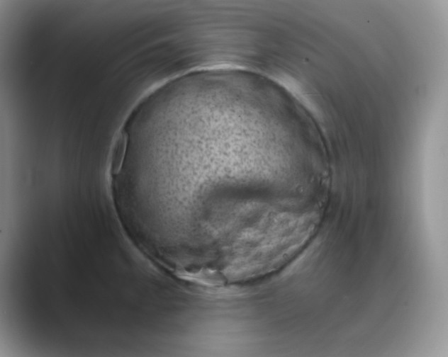 X0000089711189200707051656