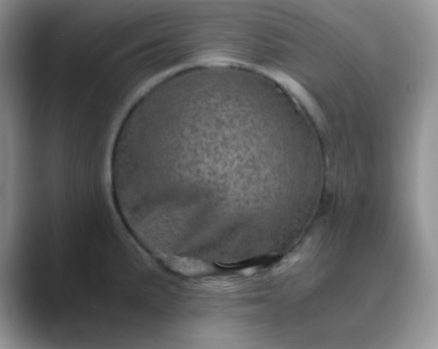 X0000089711191200707051656